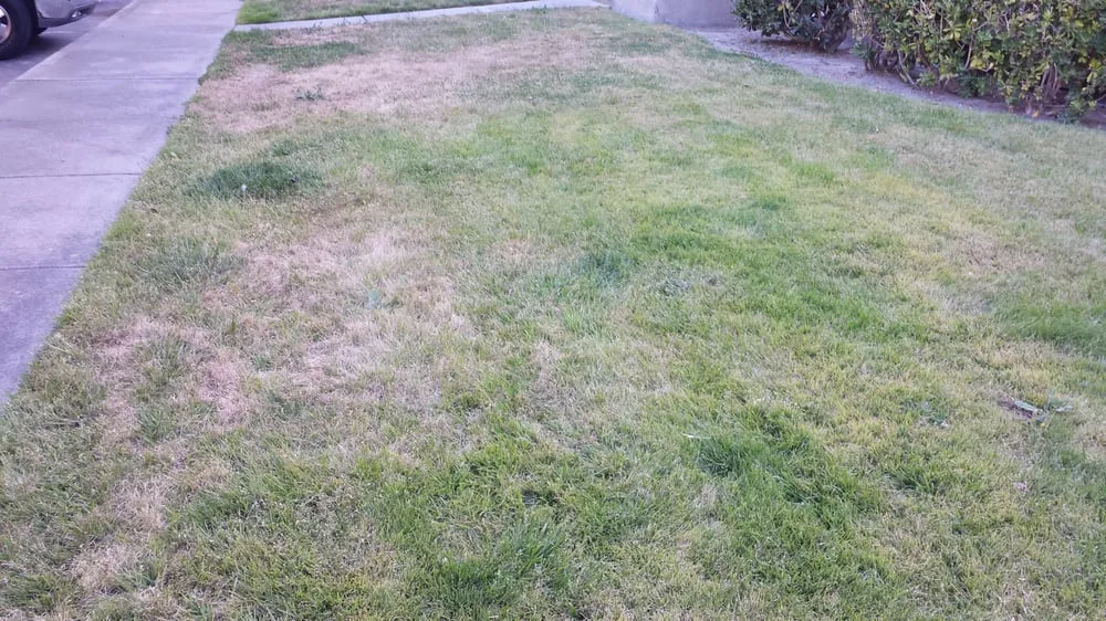 Local garden landscaping for homes in Rocklin, CA by C & R Landscape