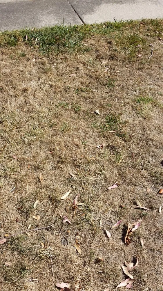 Reliable landscaping services experts serving Rocklin, CA - C & R Landscape