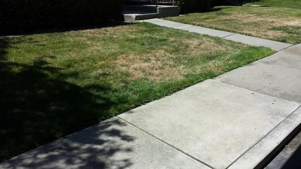 Trusted lawn mowing service for outdoor upgrades across Rocklin, CA - C & R Landscape