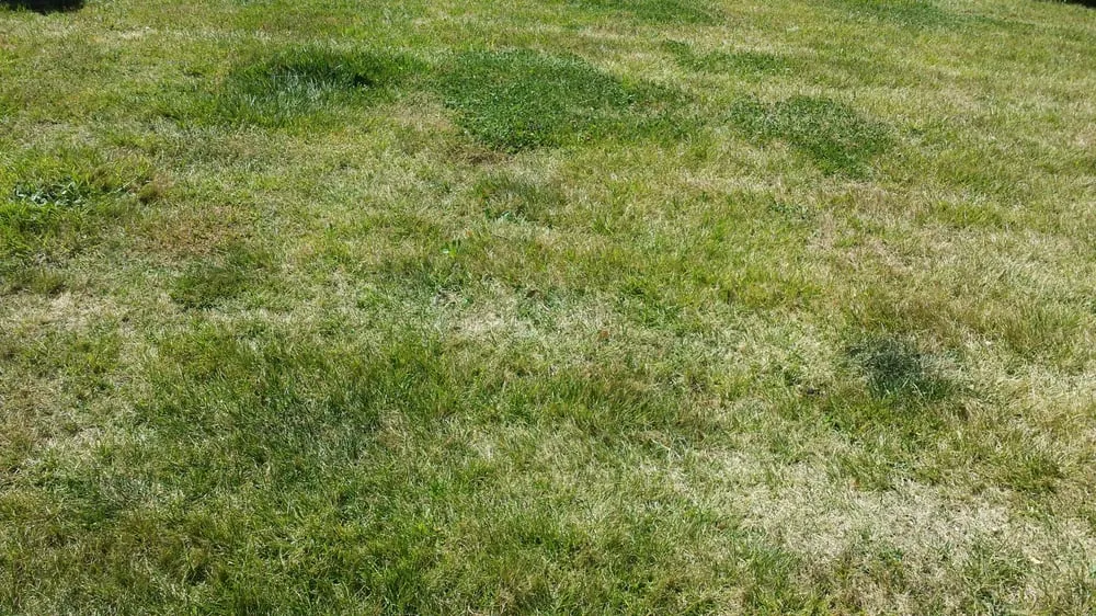 Local landscape installation experts serving Rocklin, CA - C & R Landscape