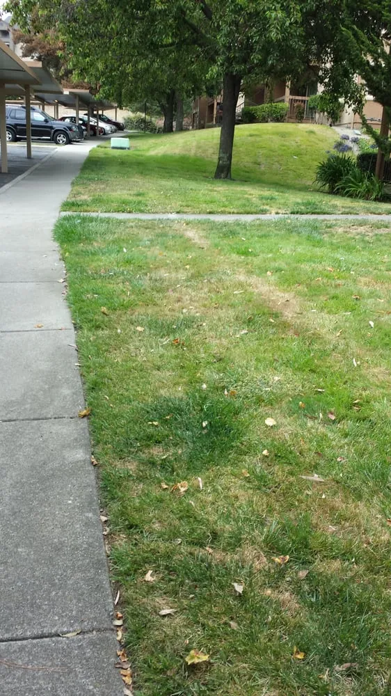 Expert residential landscaping for homes in Rocklin, CA by C & R Landscape