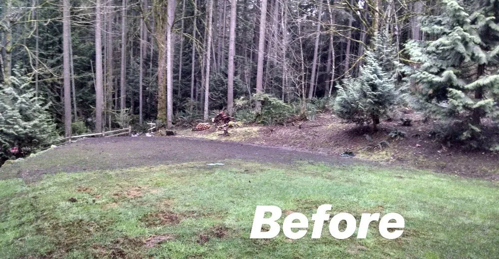 Top-rated residential landscaping in Woodinville, WA - C & R Landscape Services