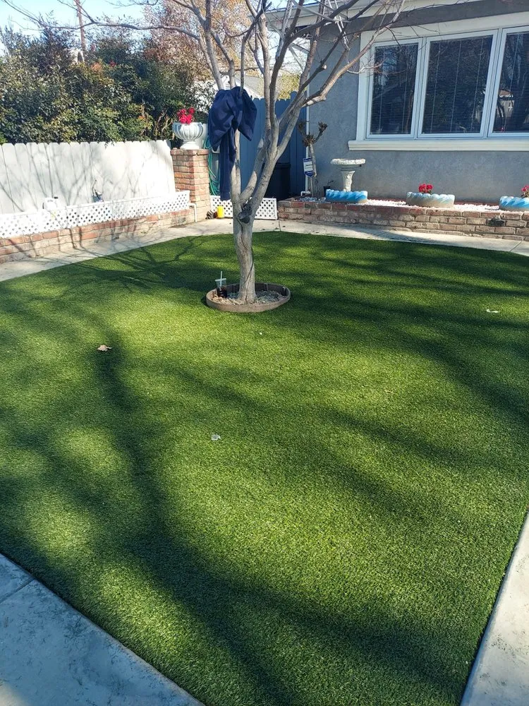 Top-rated yard cleanup service in Tracy, CA - C & R Landscaping