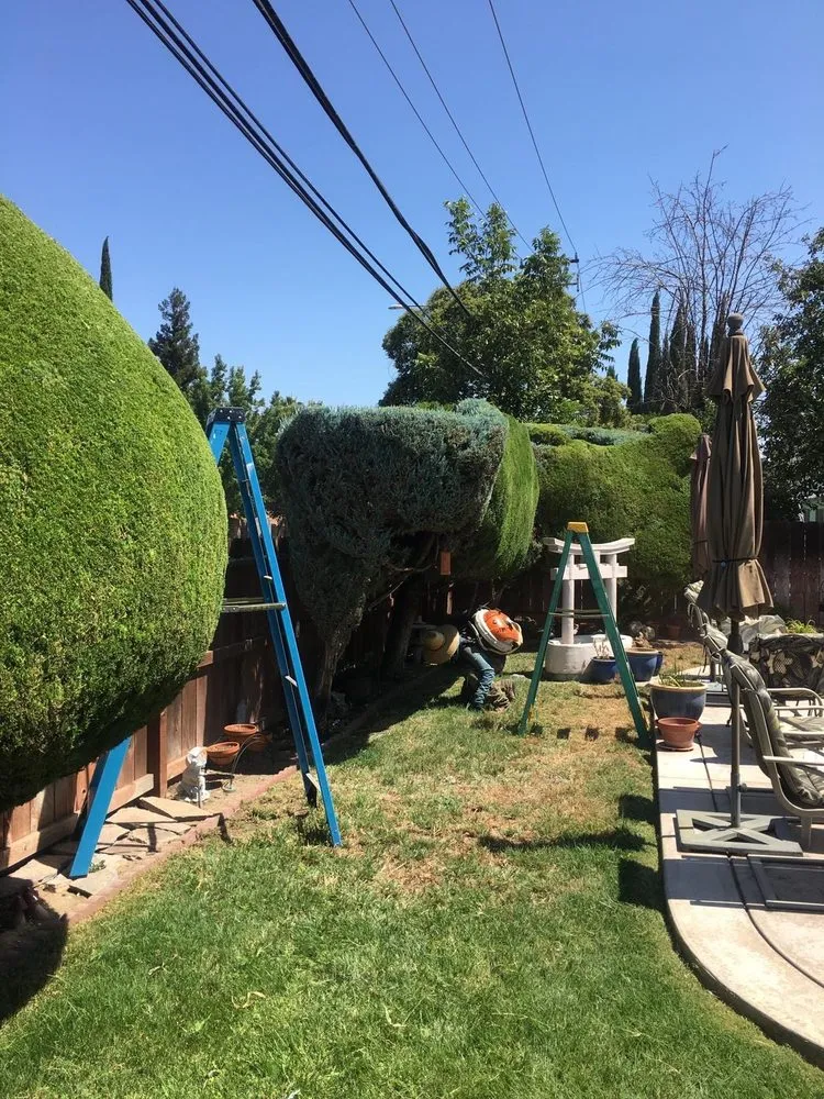 Local landscape design in Tracy, CA - C & R Landscaping