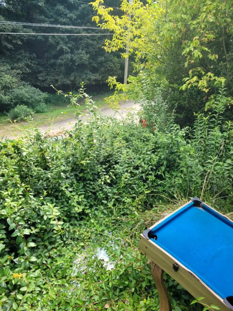 Expert landscaping services experts serving Perryopolis, PA - C & R Lawn And Landscape