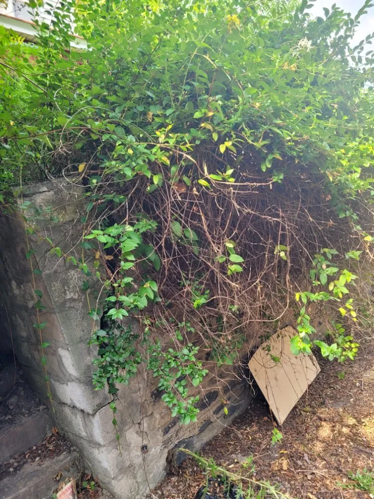 Professional garden landscaping near you in Perryopolis, PA by C & R Lawn And Landscape