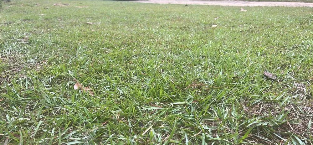 Affordable yard cleanup service in Chunchula, AL - C & R lawn care