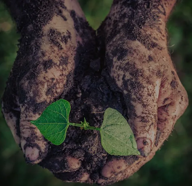 Reliable yard cleanup service in Aurora, OR - C & R Reforestation