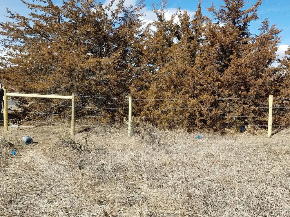 Professional lawn mowing service in Fort Collins, CO by C & S Enterprises