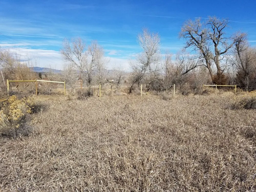 Professional outdoor landscaping for homes across Fort Collins, CO - C & S Enterprises