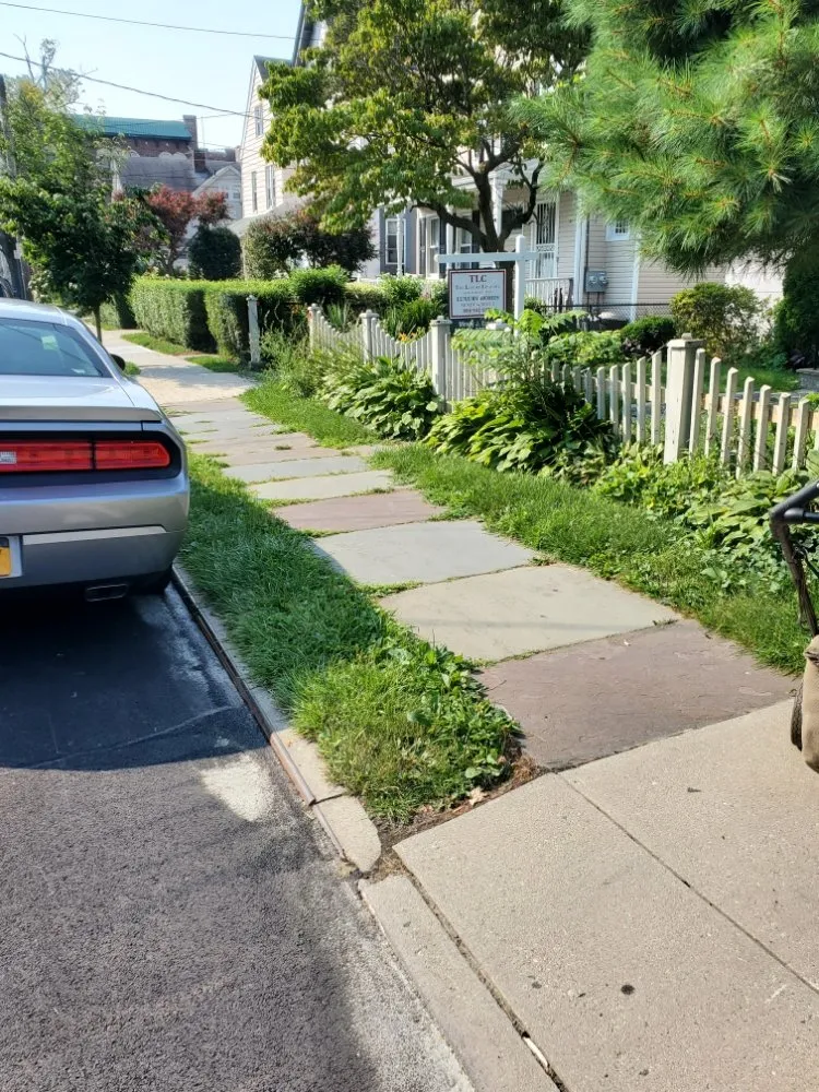 Top-rated residential landscaping in New Rochelle, NY by C & S Property Maintenance and Lawn care