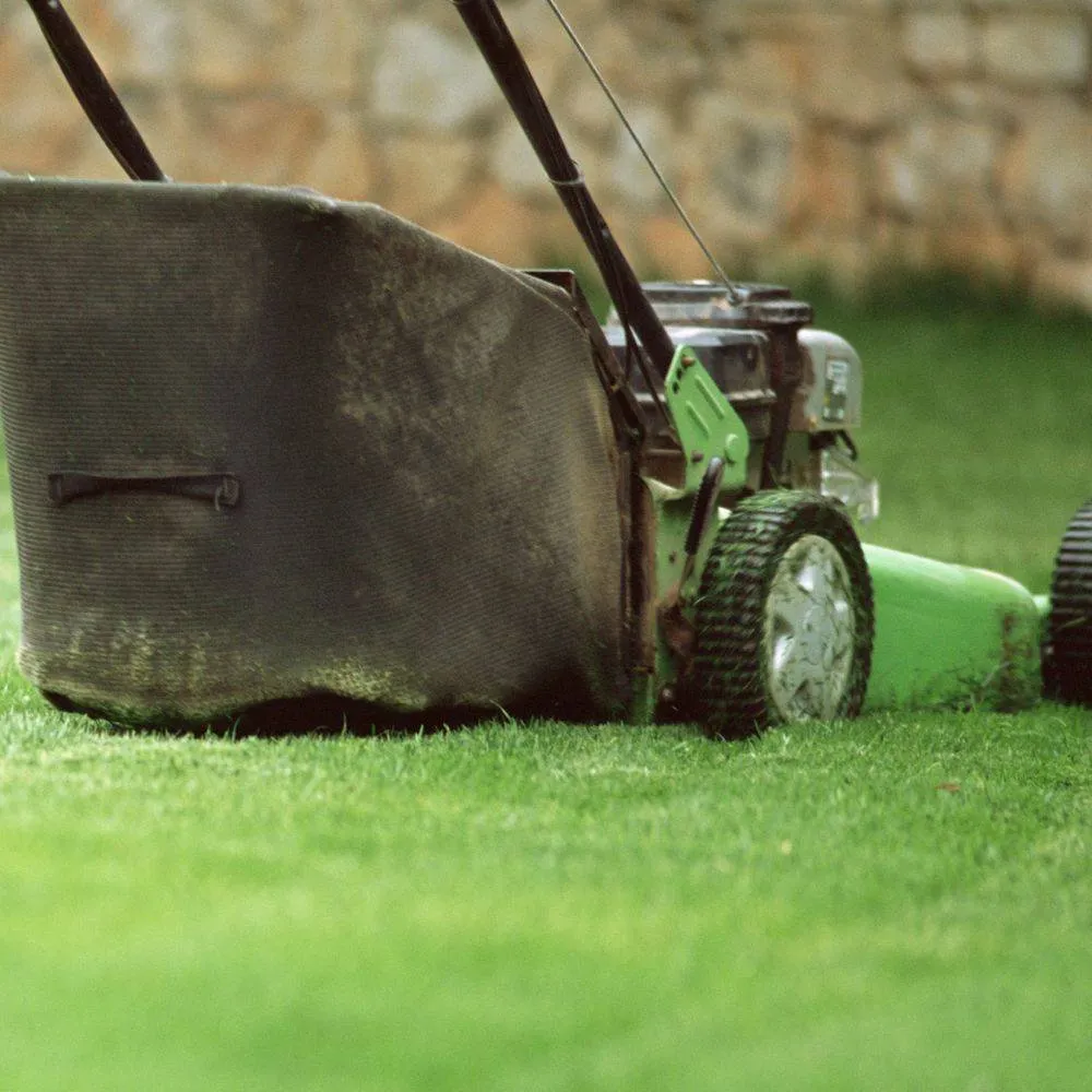 Professional lawn mowing service in New Rochelle, NY by C & S Property Maintenance and Lawn care