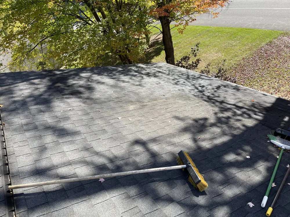 Reliable yard cleanup service in Central Square, NY - C & S Property Management