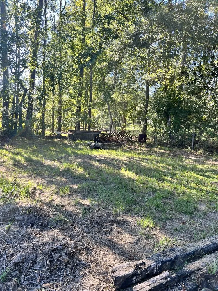 Custom landscape installation in Port Arthur, TX by C & S Tree Service