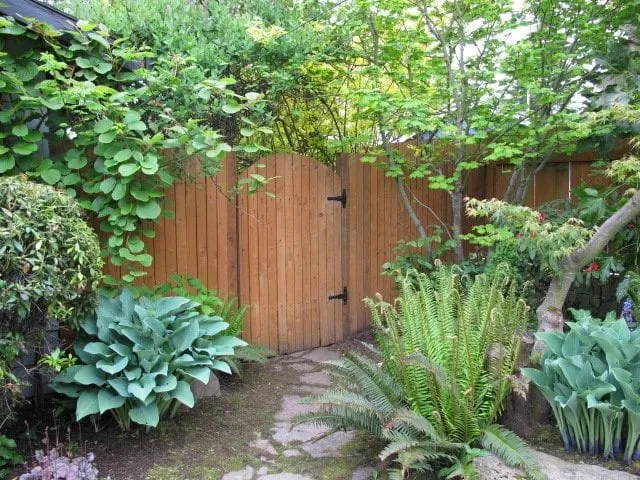 Top-rated lawn care service near you across Aloha, OR - C & T Landscape Maintenance