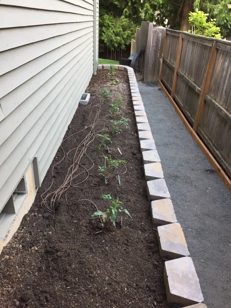 Trusted lawn care service for homes across Aloha, OR - C & T Landscape Maintenance