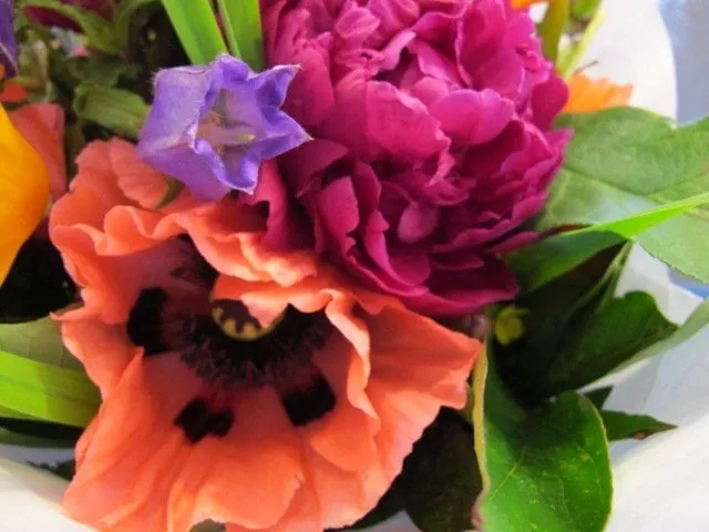 Reliable yard cleanup service experts serving Aloha, OR - C & T Landscape Maintenance