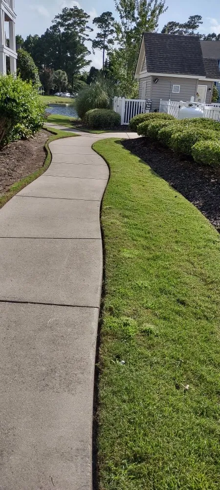 Affordable lawn care service in Myrtle Beach, SC - C & T Landscaping and More