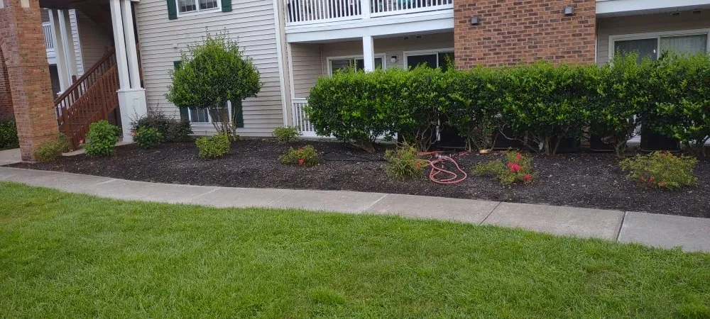 Local landscaping services with custom design across Myrtle Beach, SC - C & T Landscaping and More