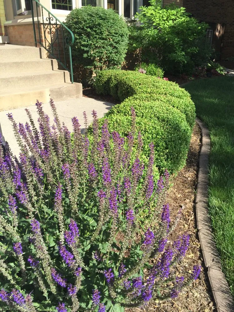 Expert lawn mowing service in Lynwood, IL by C & T Lawn & Landscape