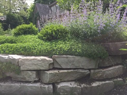 Expert lawn care service for outdoor upgrades in Lynwood, IL by C & T Lawn & Landscape