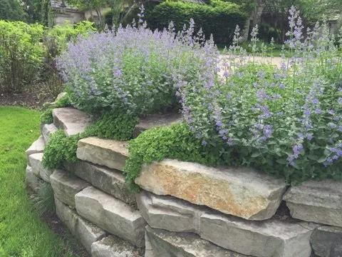 Affordable yard maintenance in Lynwood, IL by C & T Lawn & Landscape