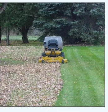 Expert landscaping services in Lynwood, IL by C & T Lawn & Landscape