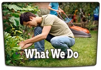 Affordable outdoor landscaping in Lynwood, IL by C & T Lawn & Landscape