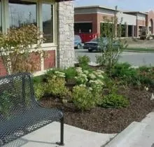 Top-rated yard cleanup service in Lynwood, IL by C & T Lawn & Landscape