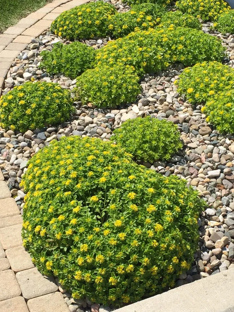 Reliable residential landscaping near you in Lynwood, IL by C & T Lawn & Landscape