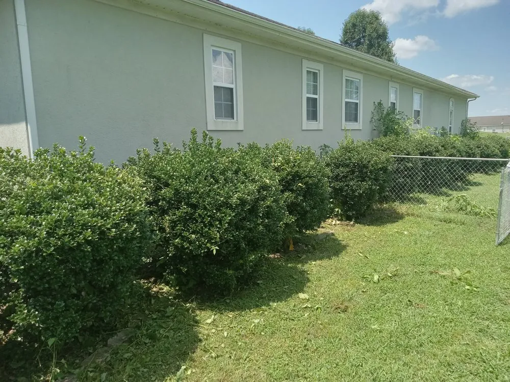 Affordable outdoor landscaping near you in Sweetwater, TN by C & T Lawncare And Landscaping