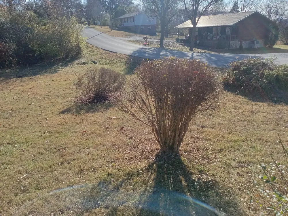 Professional lawn care service for outdoor upgrades in Sweetwater, TN by C & T Lawncare And Landscaping