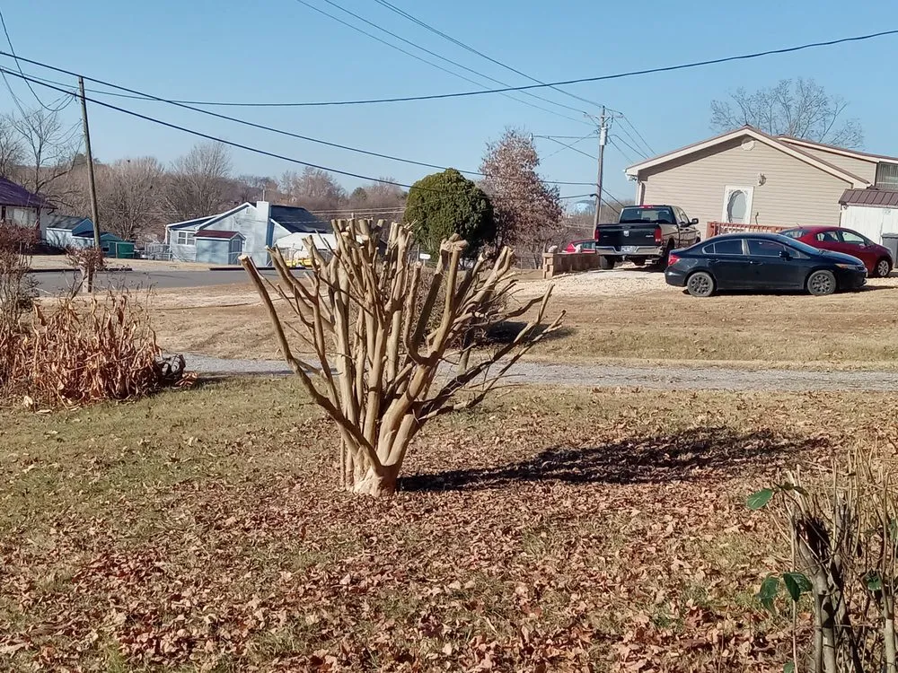 Affordable garden landscaping for residential properties across Sweetwater, TN - C & T Lawncare And Landscaping