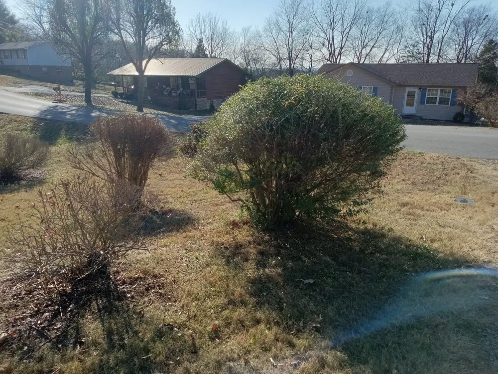 Top-rated yard maintenance in Sweetwater, TN - C & T Lawncare And Landscaping