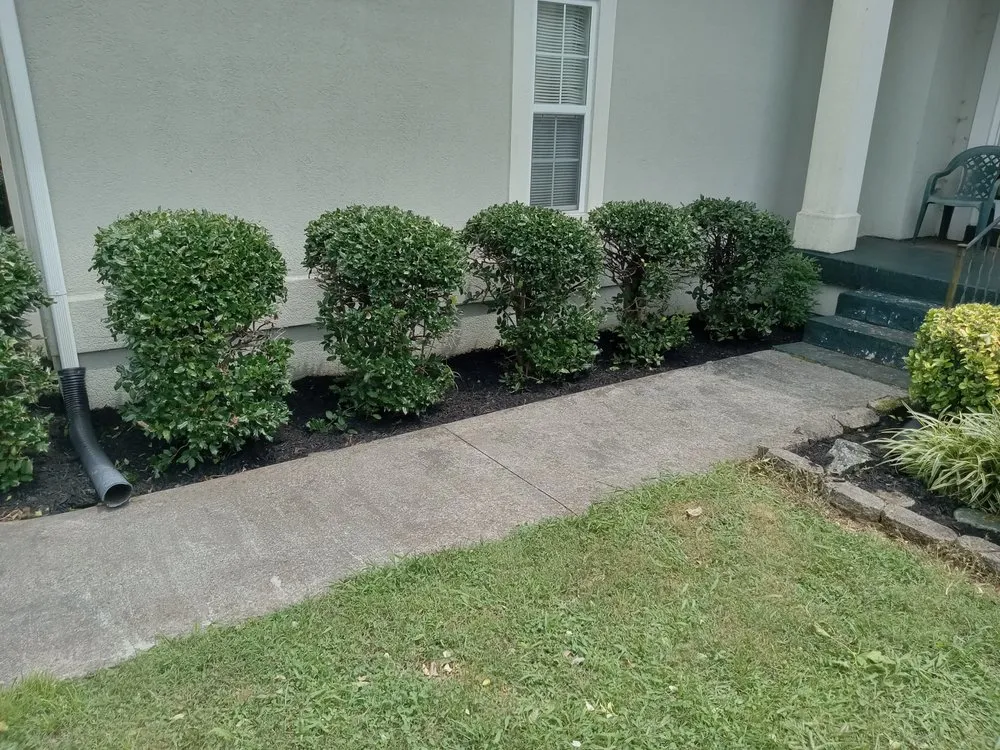 Professional garden landscaping in Sweetwater, TN by C & T Lawncare And Landscaping
