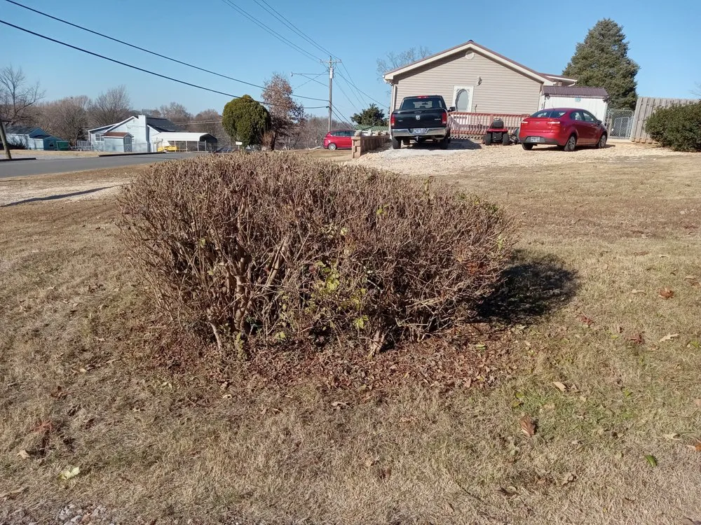 Affordable yard cleanup service for beautiful yards across Sweetwater, TN - C & T Lawncare And Landscaping