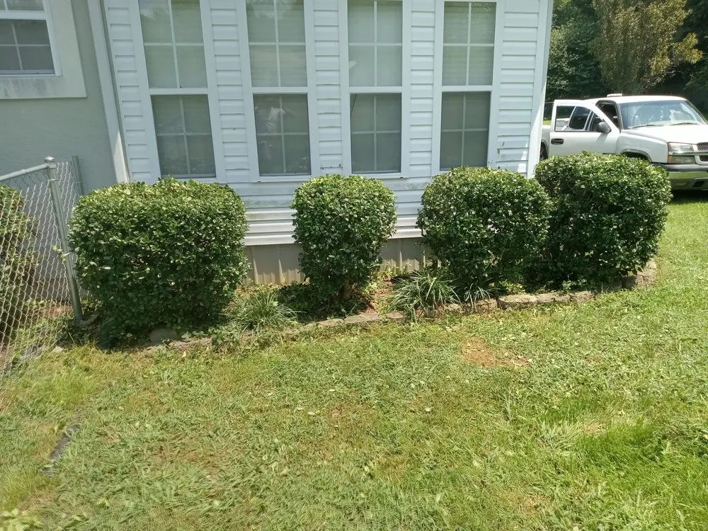 Expert garden landscaping for residential properties in Sweetwater, TN by C & T Lawncare And Landscaping