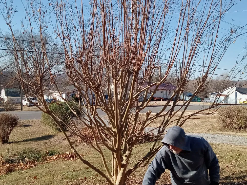 Reliable garden landscaping for residential properties in Sweetwater, TN by C & T Lawncare And Landscaping