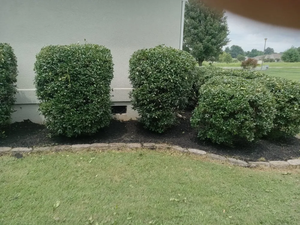 Custom outdoor landscaping for beautiful yards across Sweetwater, TN - C & T Lawncare And Landscaping