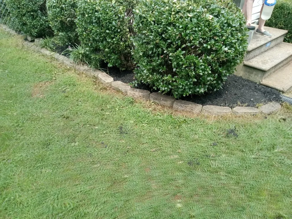 Expert lawn mowing service experts serving Sweetwater, TN - C & T Lawncare And Landscaping