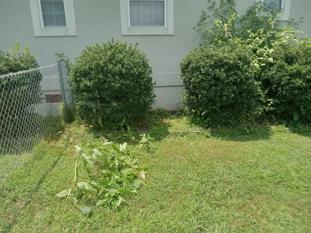 Reliable garden landscaping in Sweetwater, TN by C & T Lawncare And Landscaping