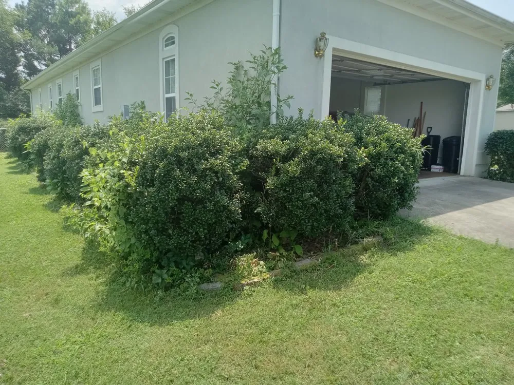 Local outdoor landscaping experts serving Sweetwater, TN - C & T Lawncare And Landscaping