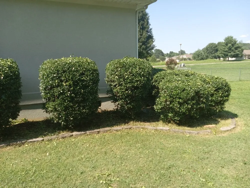 Top-rated landscape installation experts serving Sweetwater, TN - C & T Lawncare And Landscaping