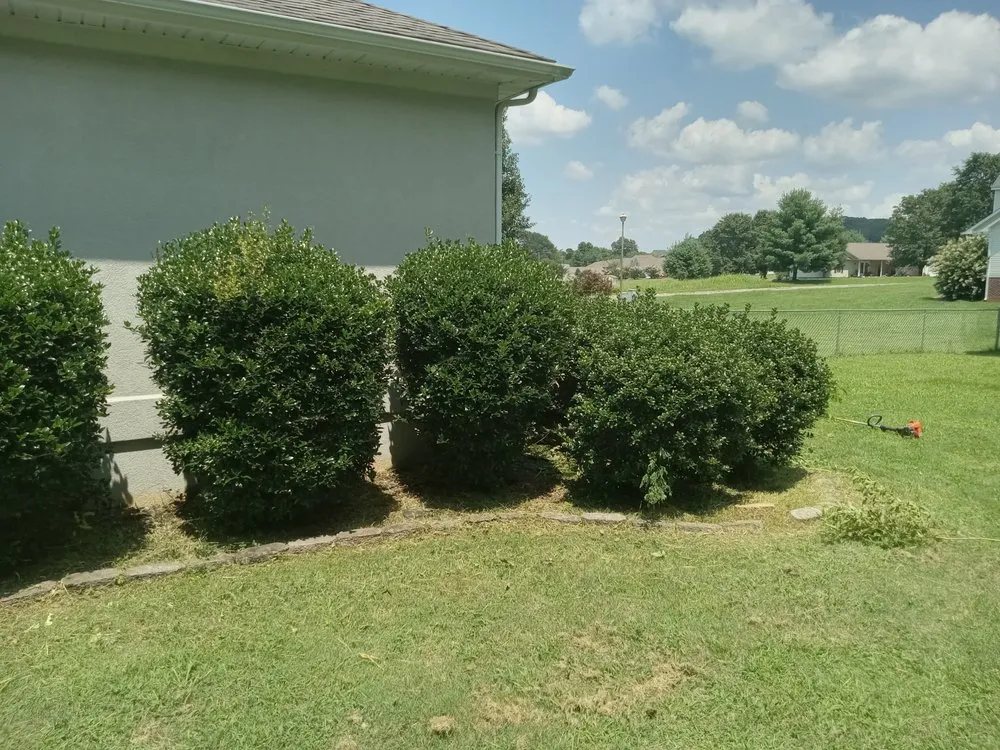 Reliable yard maintenance in Sweetwater, TN by C & T Lawncare And Landscaping