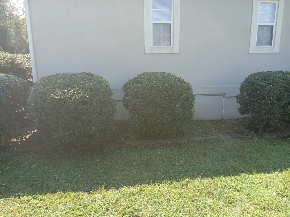 Local lawn care service in Sweetwater, TN by C & T Lawncare And Landscaping