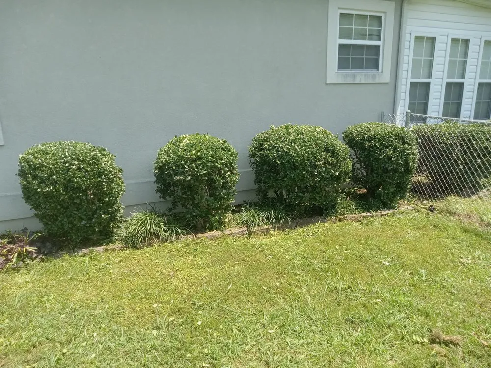 Local outdoor landscaping with custom design in Sweetwater, TN by C & T Lawncare And Landscaping