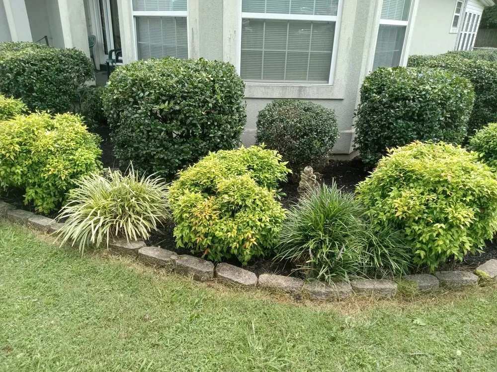 Expert landscape installation for residential properties in Sweetwater, TN by C & T Lawncare And Landscaping