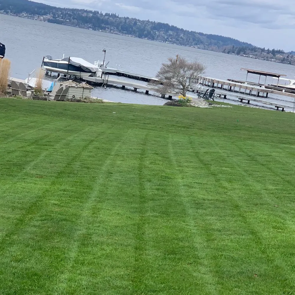 Affordable lawn mowing service in Redmond, WA by C & V Landscaping