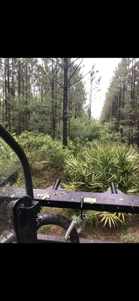 Professional lawn mowing service in Patterson, GA - C & W Land Pro's