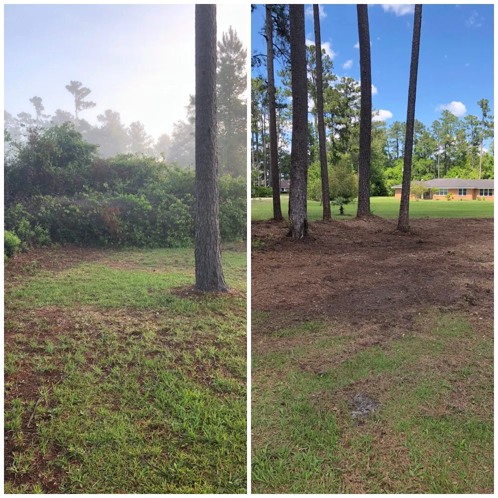 Professional landscape installation for year-round maintenance across Patterson, GA - C & W Land Pro's